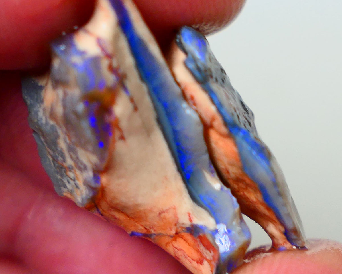 Lightning Ridge Dark base seam opals fresh from the mine walls 23.50cts Gorgeous Blue fires 28x14x10mm & 23x15x7mm Auction176