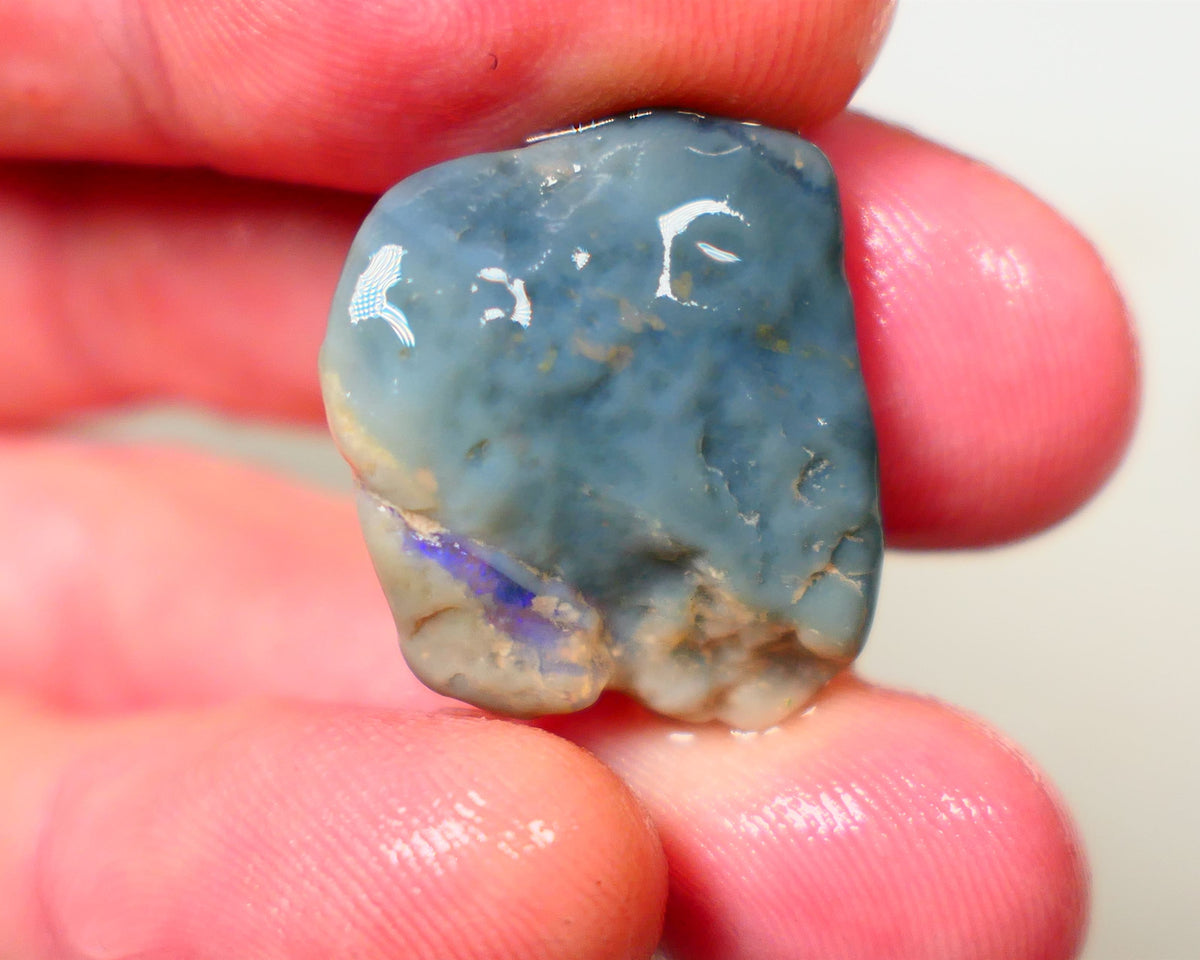 Lightning Ridge Dark base clipped knobby opal 26.00cts Bit of a bar of blue fires showing at one end sold as gamble 24x19x9mm Auction175