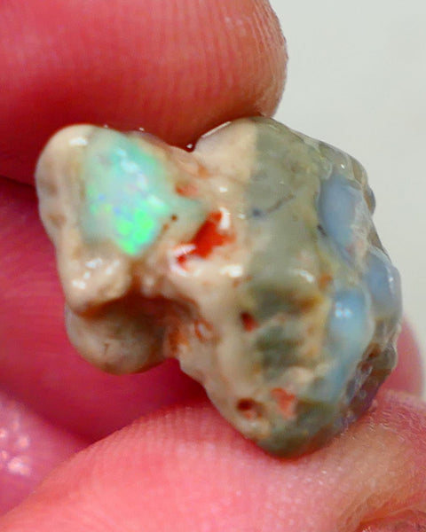 Lightning Ridge Dark base knobby opal formation 11.50cts Green/Blue fires showing sold as gamble 20x12x11mm Auction172