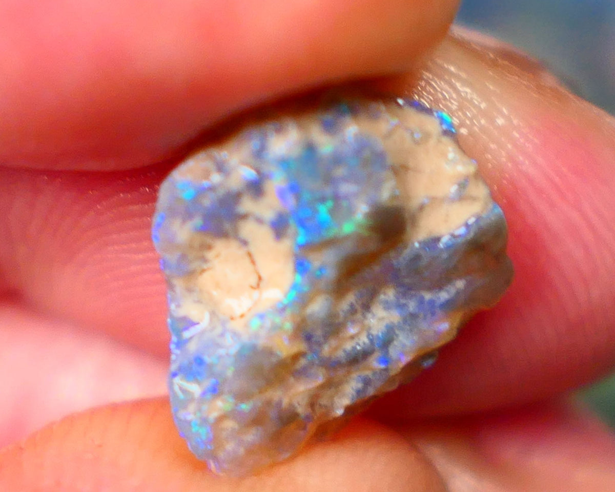 Lightning Ridge Dark Base Knobby opal rough Gamble 5.00cts Bright fires with gorgeous blue tones with flashes of greens 15x13x5mm GMB-009