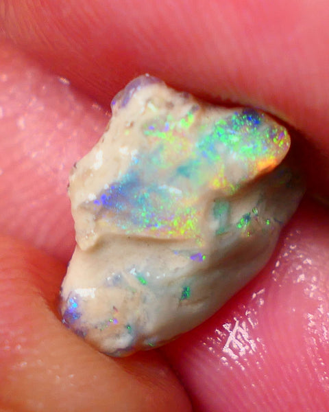 Lightning Ridge Knobby opal formation 3.45cts Gorgeous Multifires showing Sold as Gamble 14x11x4mm GMB-002