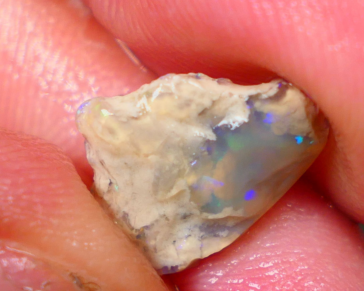 Lightning Ridge Knobby opal formation 3.45cts Gorgeous Multifires showing Sold as Gamble 14x11x4mm GMB-002