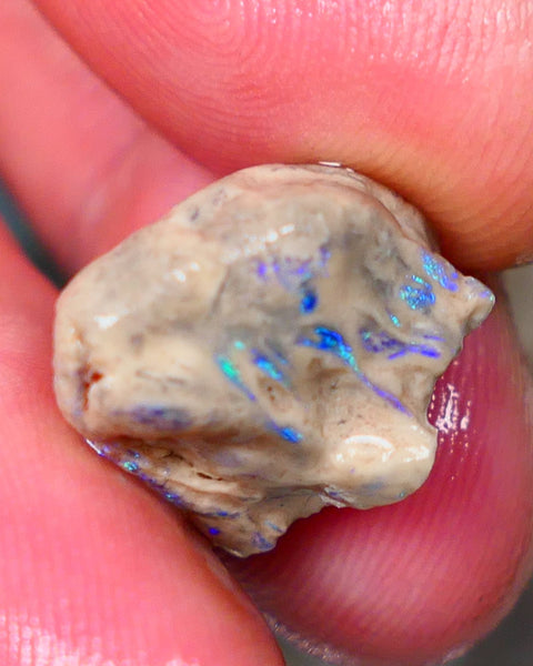 Lightning Ridge Opal formation rough 12.25cts Veins of gorgeous Green& blue fires to gamble  15x14x12mm GMB-062