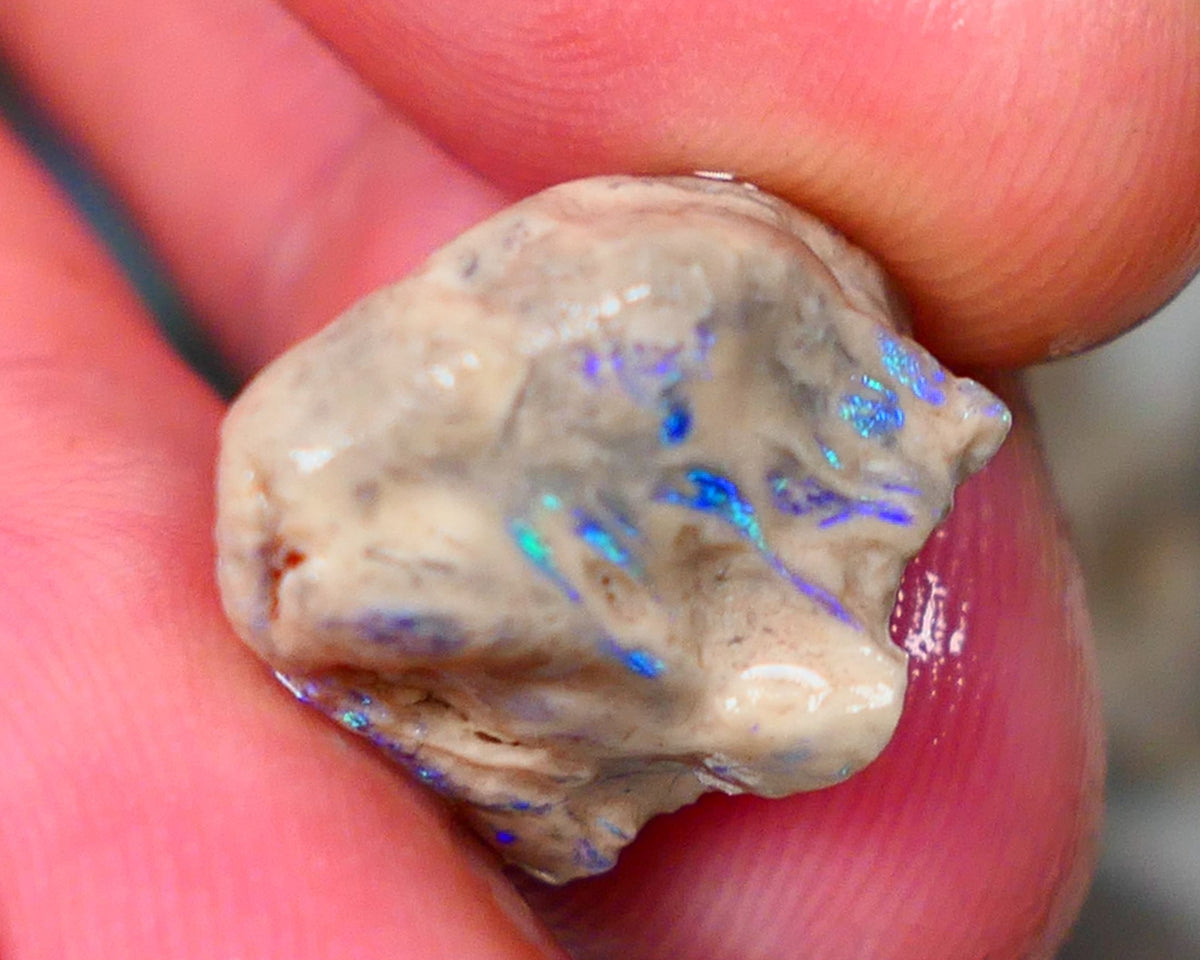 Lightning Ridge Opal formation rough 12.25cts Veins of gorgeous Green& blue fires to gamble  15x14x12mm GMB-062