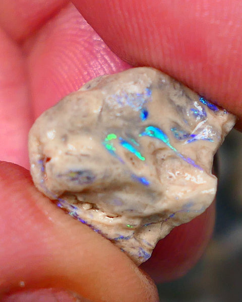 Lightning Ridge Opal formation rough 12.25cts Veins of gorgeous Green& blue fires to gamble  15x14x12mm GMB-062