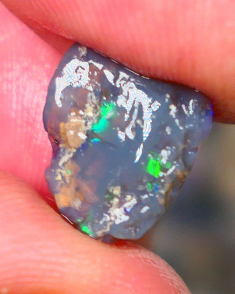 Lightning Ridge Dark Base Crystal Opalised wood fossil opal rough 3.00cts Green & Blue fire flashes  13x11x4mm GMB-061