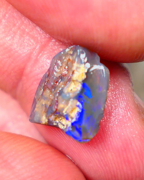 Lightning Ridge Dark Base Crystal Opalised wood fossil opal rough 3.00cts Green & Blue fire flashes  13x11x4mm GMB-061