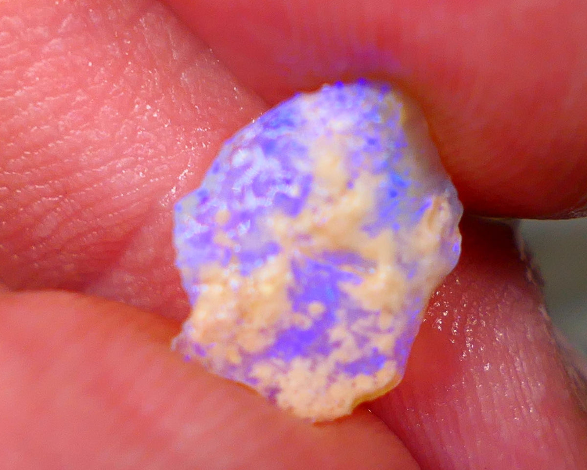 Lightning Ridge Thin Crystal Knobby opal rough 1.50cts Bright Light Blue fires 12x9x2mm GMB-058