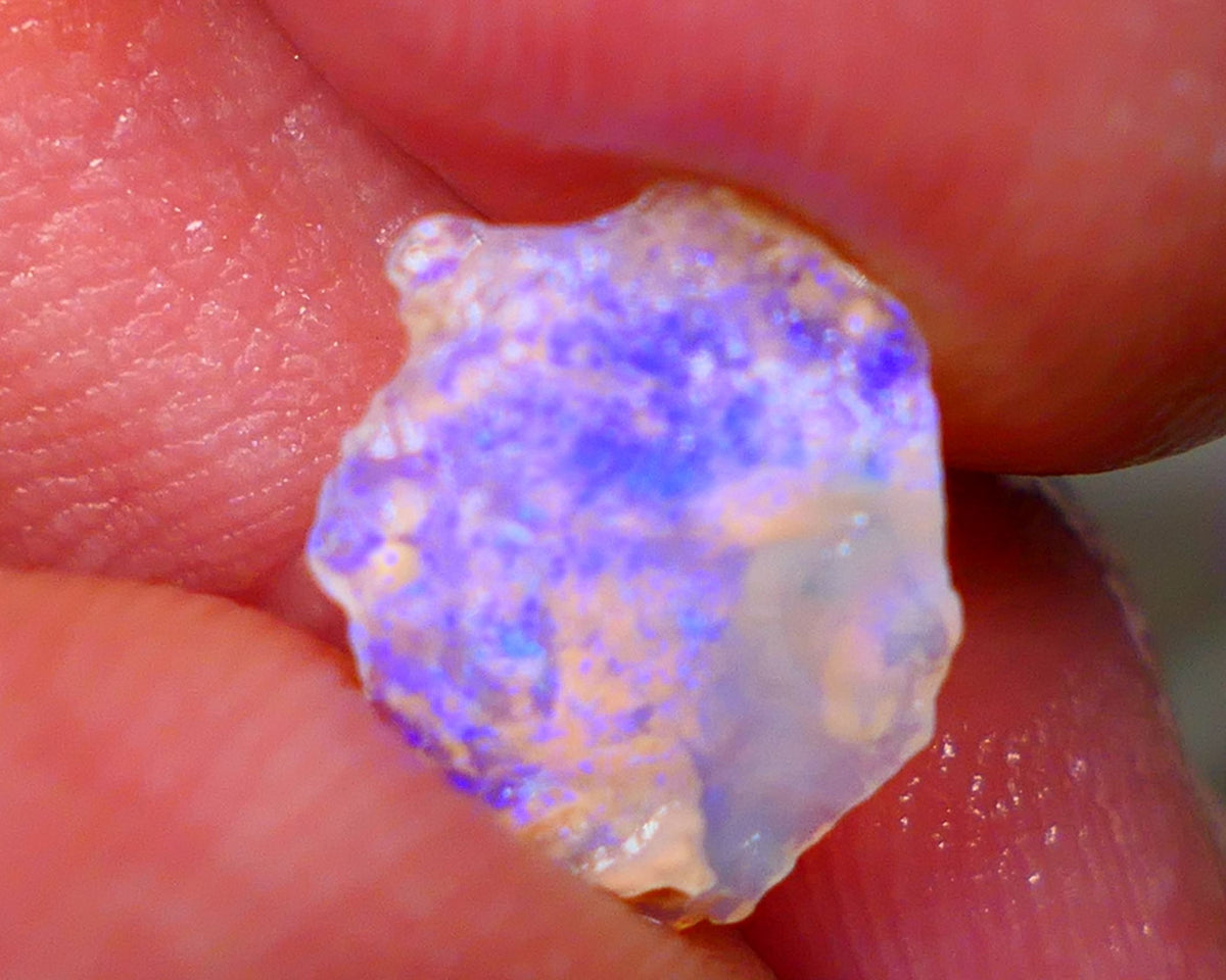 Lightning Ridge Thin Crystal Knobby opal rough 1.50cts Bright Light Blue fires 12x9x2mm GMB-058