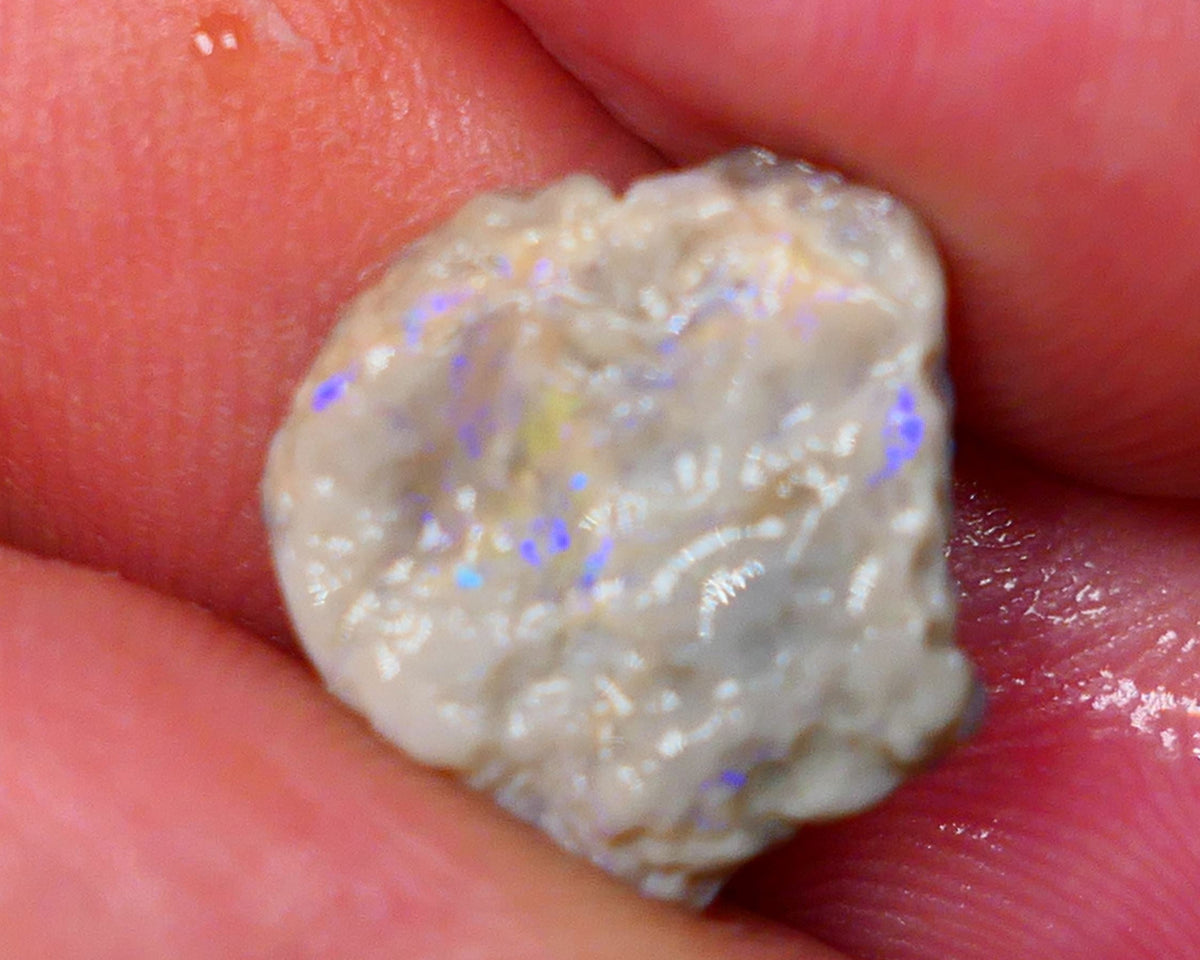 Lightning Ridge Untouched Dark Crystal knobby opal rough 6.10cts Gorgeous tones of Blues to explore sold as gamble 15x13x6mm GMB-055