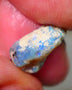 Lightning Ridge Untouched knobby opal rough 7.25cts Showing some flashes of Multicolours sold as gamble 15x11x7mm GMB-015