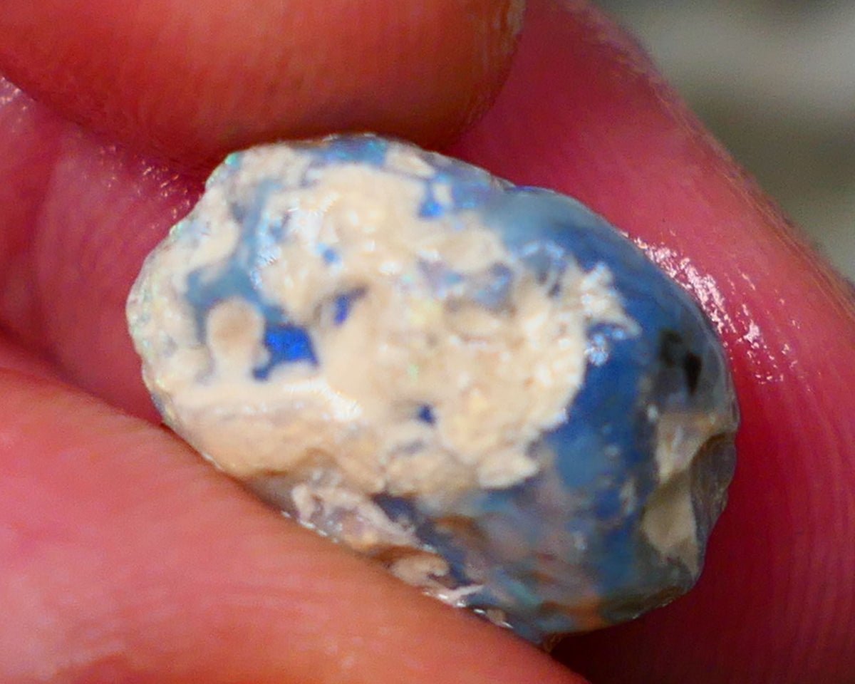 Lightning Ridge Untouched knobby opal rough 7.25cts Showing some flashes of Multicolours sold as gamble 15x11x7mm GMB-015