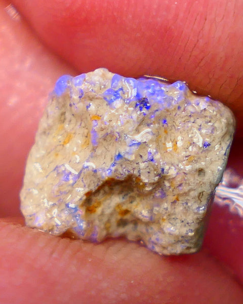 Lightning Ridge Untouched Crystal Base Knobby opal rough 3.40cts Bright blue dominant fires to carve or collect 11x10x6mm GMB-013