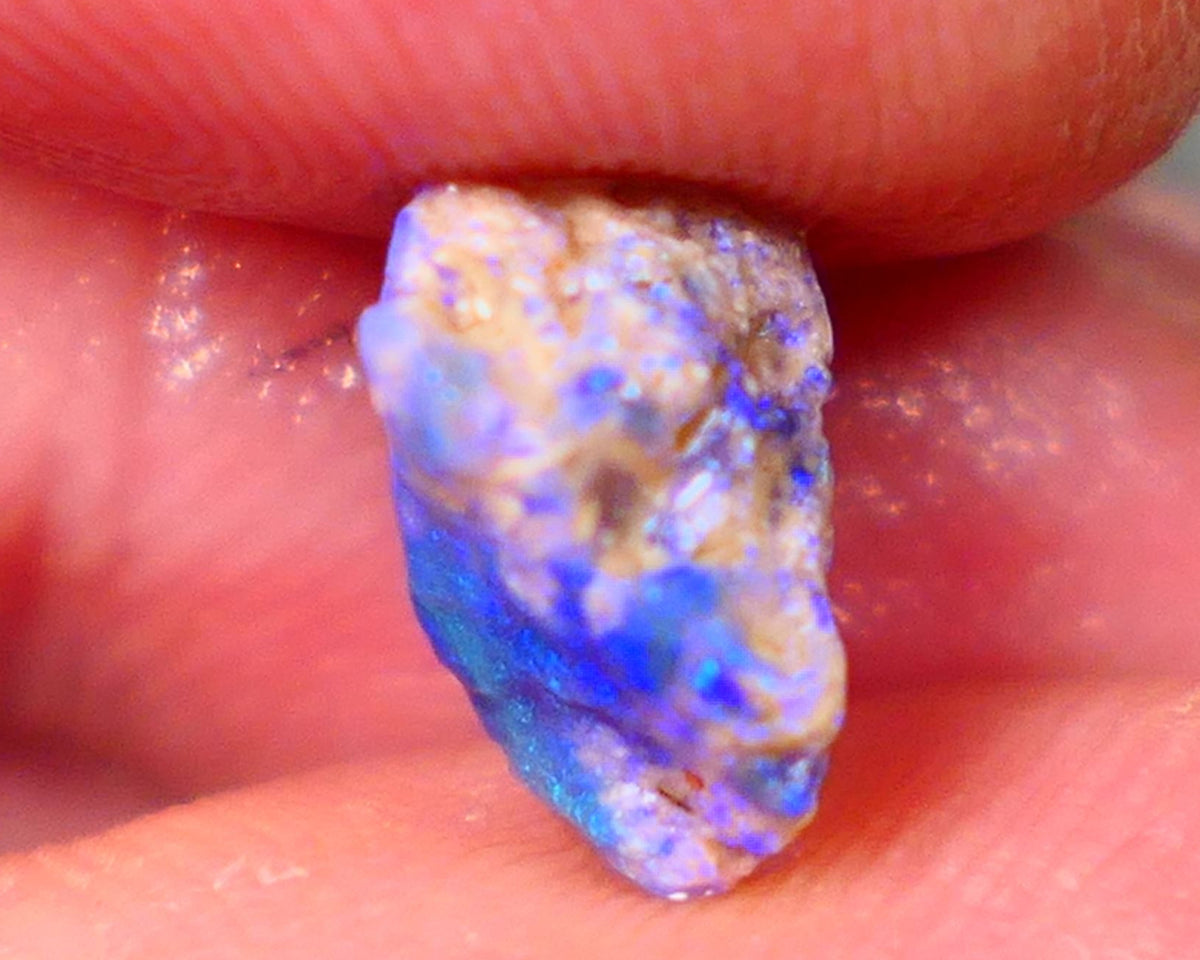 Lightning Ridge Untouched Dark base Crystal Pea Knobby opal rough 2.70cts Very Bright Vibrant Deep Royal Blue fires to gamble 10x10x6mm GMB-023