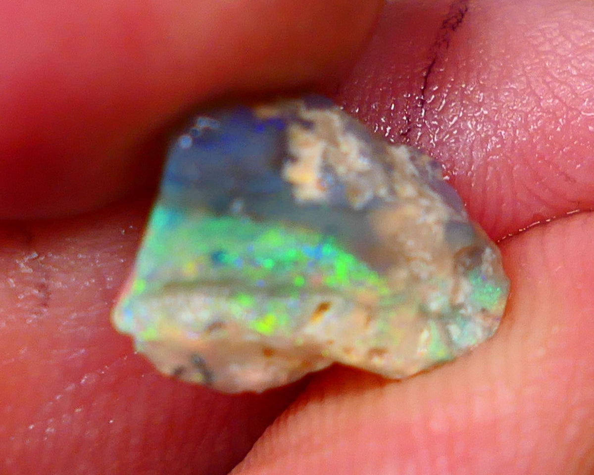 SEE VIDEO  Lightning Ridge Opalised Wood fossil rough opal 2.15cts Stunning Multicolours featuring oranges & Yellows 12x9x4mm GMB022