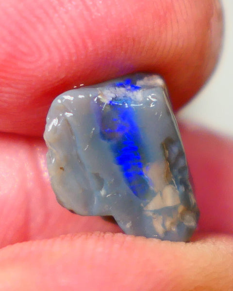 Lightning Ridge Dark base opalised wood fossil rough 3.75cts Stunning Vivid Vibrant Royal Blue fires 12x10x6mm GMB-020