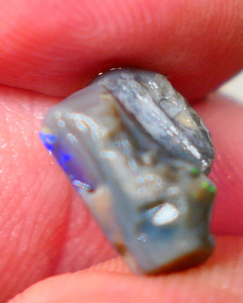 Lightning Ridge Dark base opalised wood fossil rough 3.75cts Stunning Vivid Vibrant Royal Blue fires 12x10x6mm GMB-020