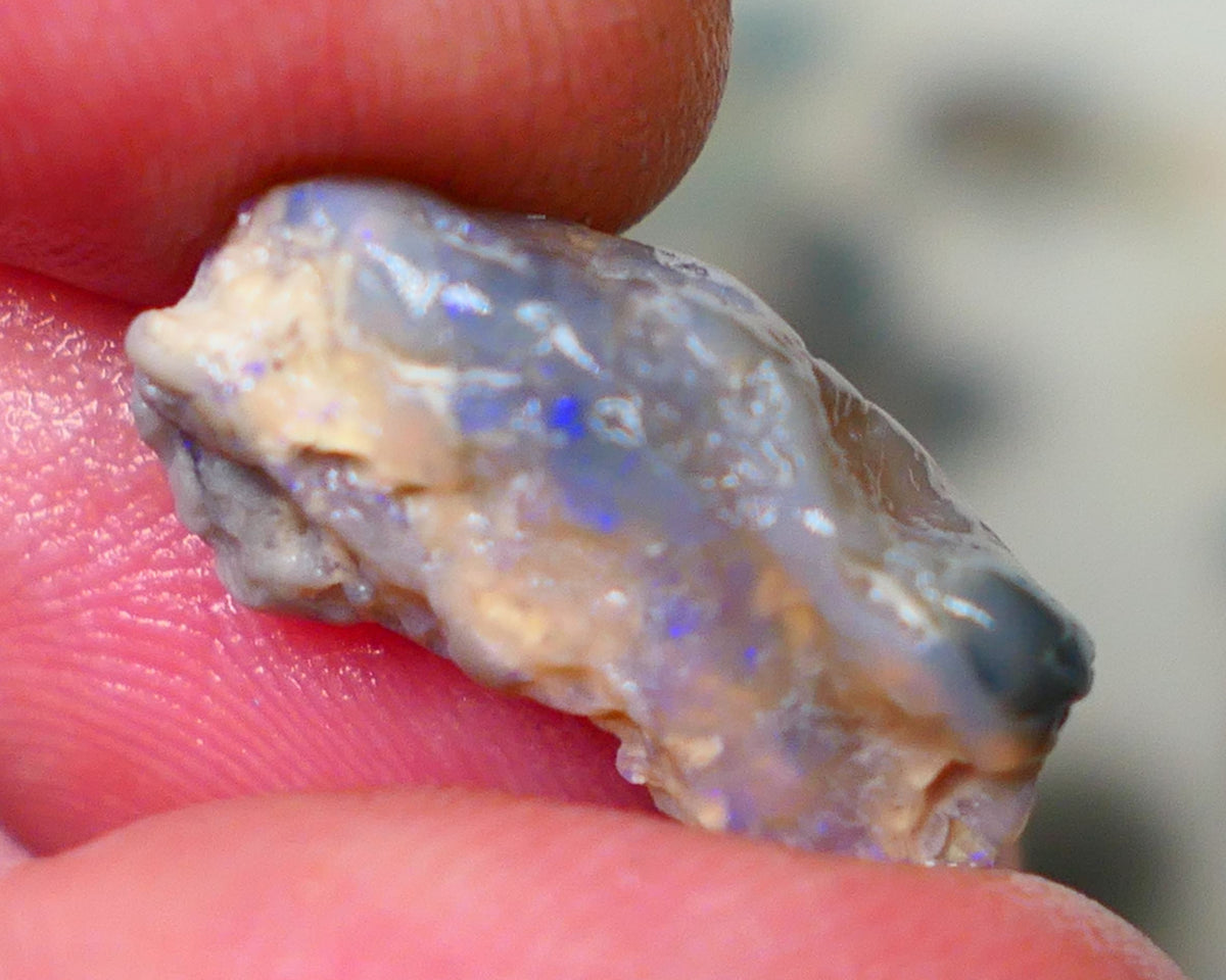 Lightning Ridge Dark Crystal knobby opal rough 7.00cts Bright Blue bar to expose sold as gamble 20x9x7mm GMB-048