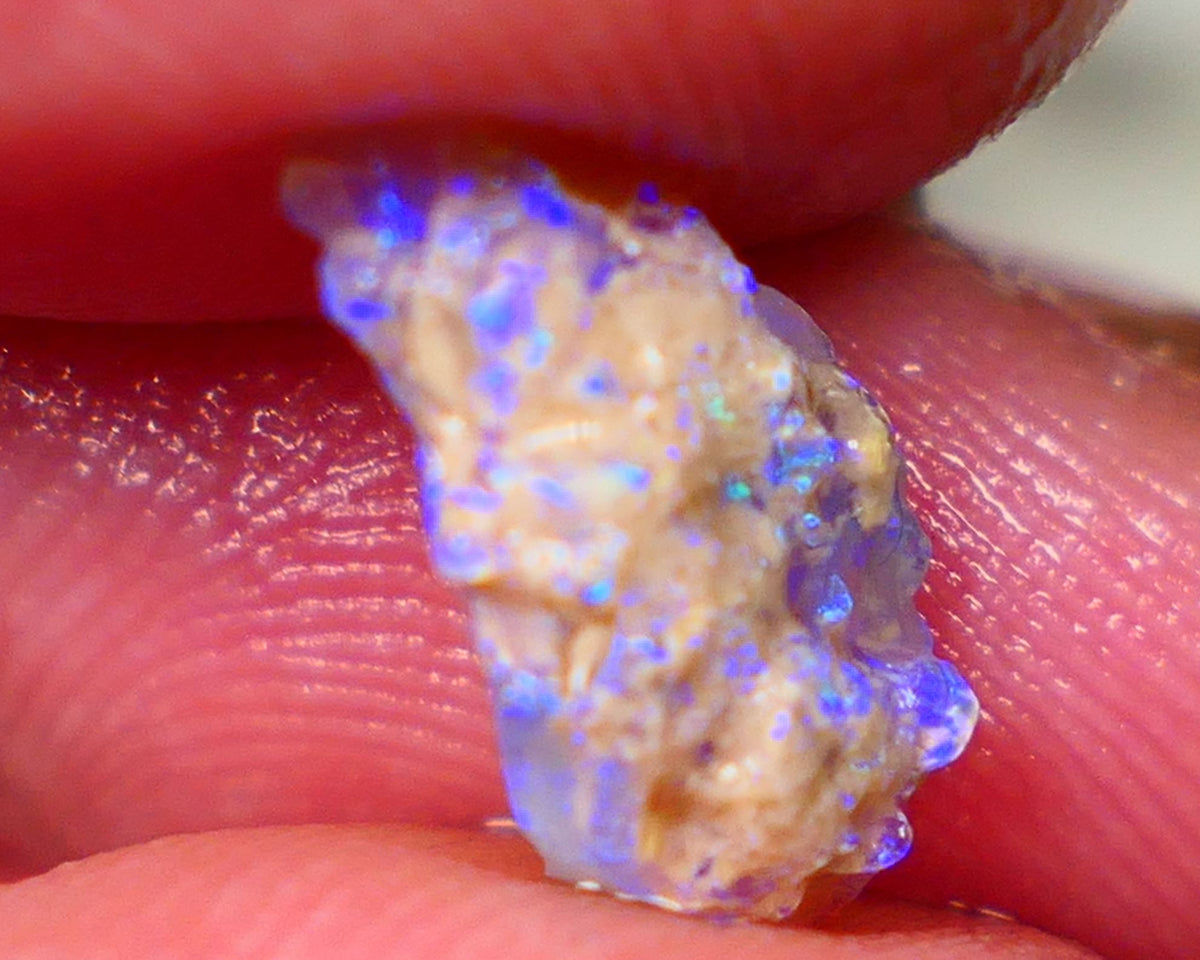 Lightning Ridge Crystal knobby opal formation rough 1.75cts Small But Packing Bright Vibrant blues 14x8x4mm GMB-047