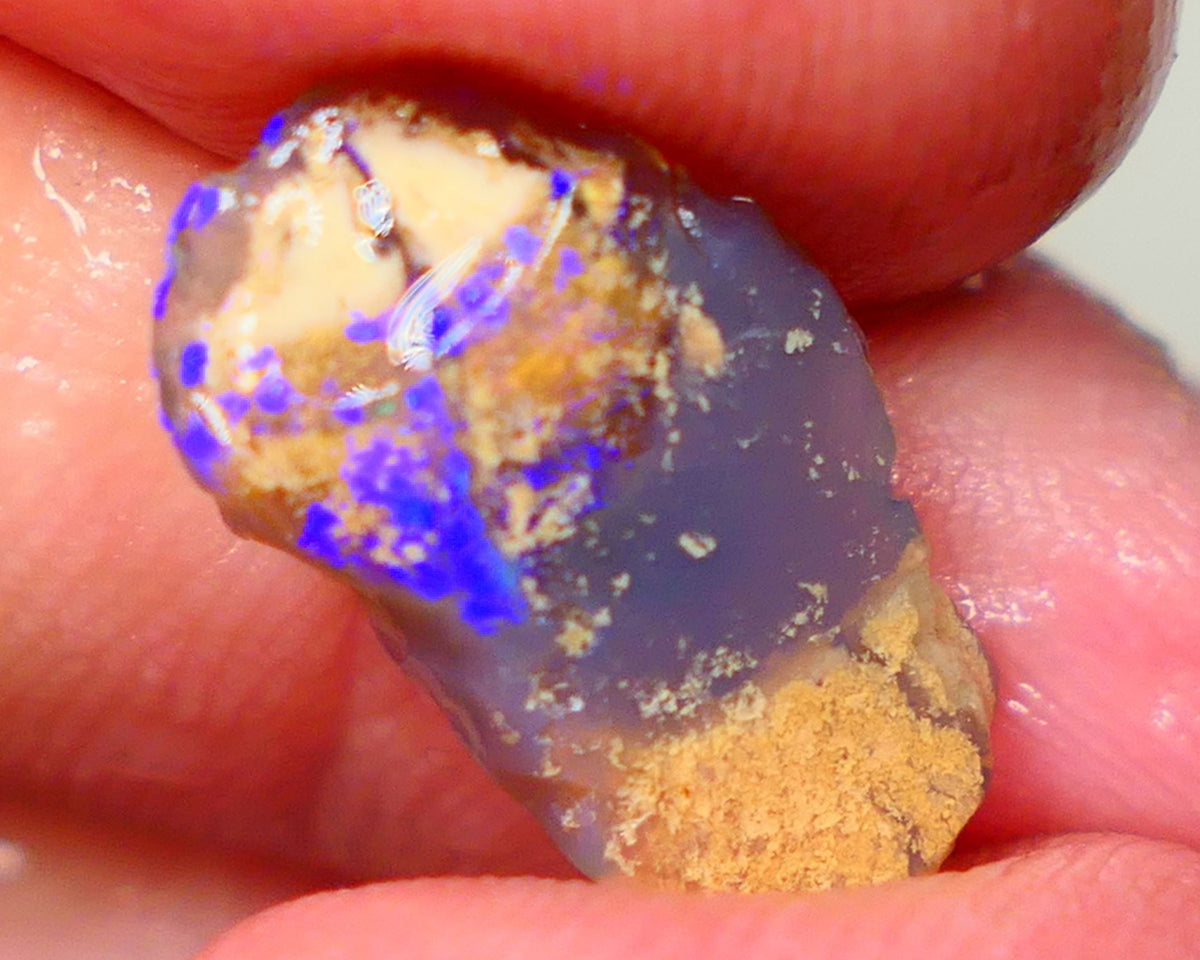 Lightning Ridge knobby opal formation rub/rough 3.00cts Displaying Bright Gorgeous blue fires 17x10x3mm  GMB-039