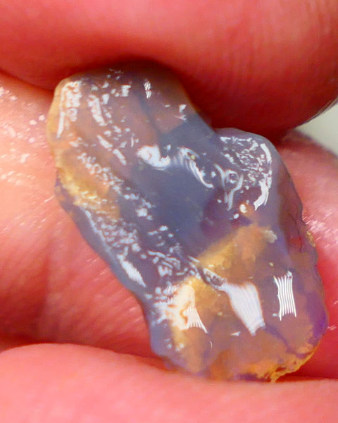 Lightning Ridge knobby opal formation rub/rough 3.00cts Displaying Bright Gorgeous blue fires 17x10x3mm  GMB-039