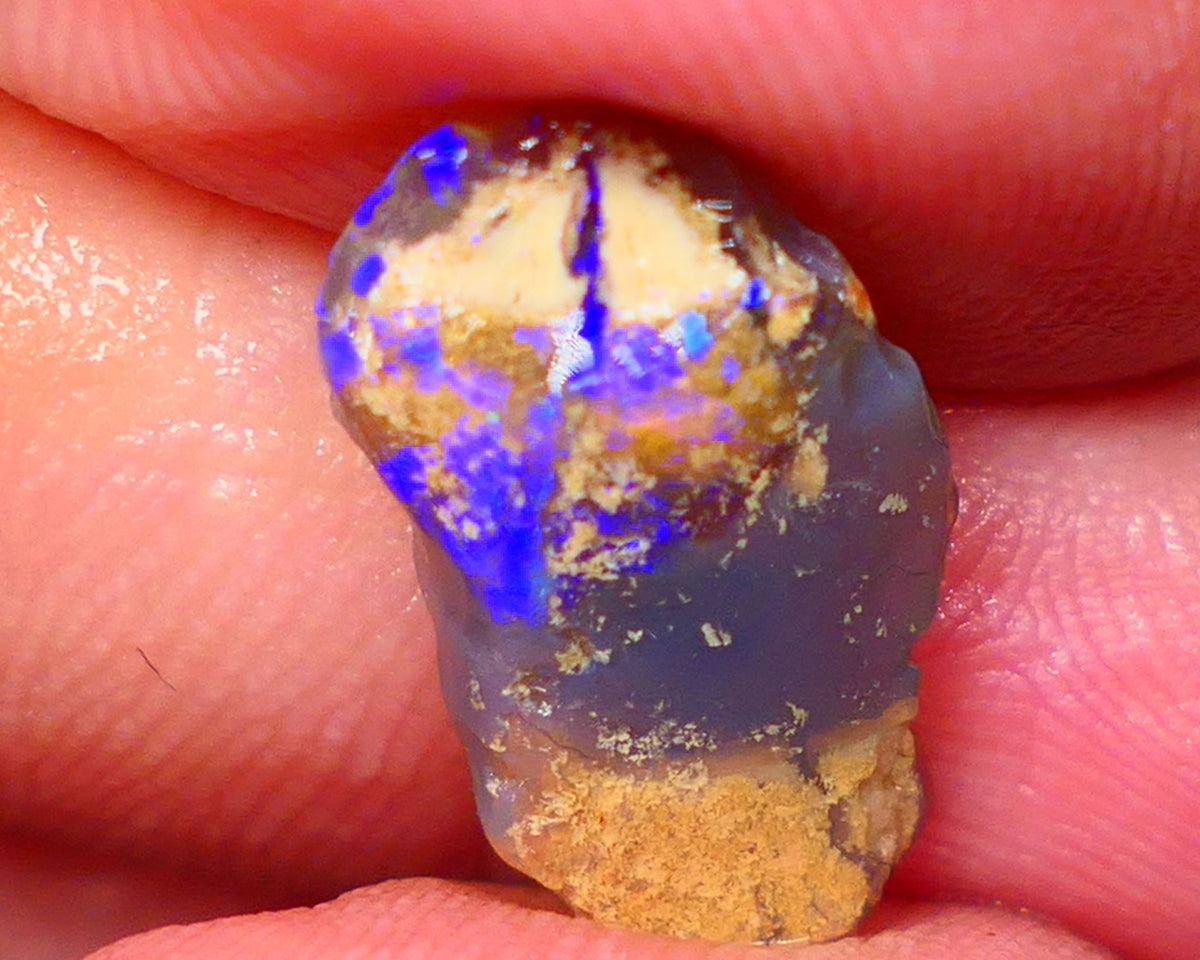 Lightning Ridge knobby opal formation rub/rough 3.00cts Displaying Bright Gorgeous blue fires 17x10x3mm  GMB-039