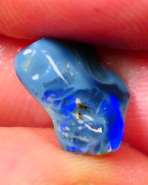 Lightning Ridge Dark base knobby rough opal 2.70cts Zone of Bright Vibrant Royal blues fires 12x9x4mm