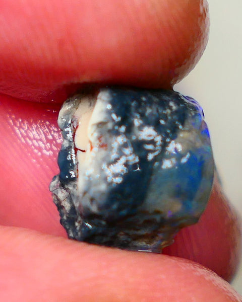 Lightning Ridge Dark Base knobby 4.00cts  Bright Blue colours to explore and gamble 12x8x7mm GMB-034