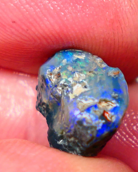 Lightning Ridge Dark Base knobby 4.00cts  Bright Blue colours to explore and gamble 12x8x7mm GMB-034