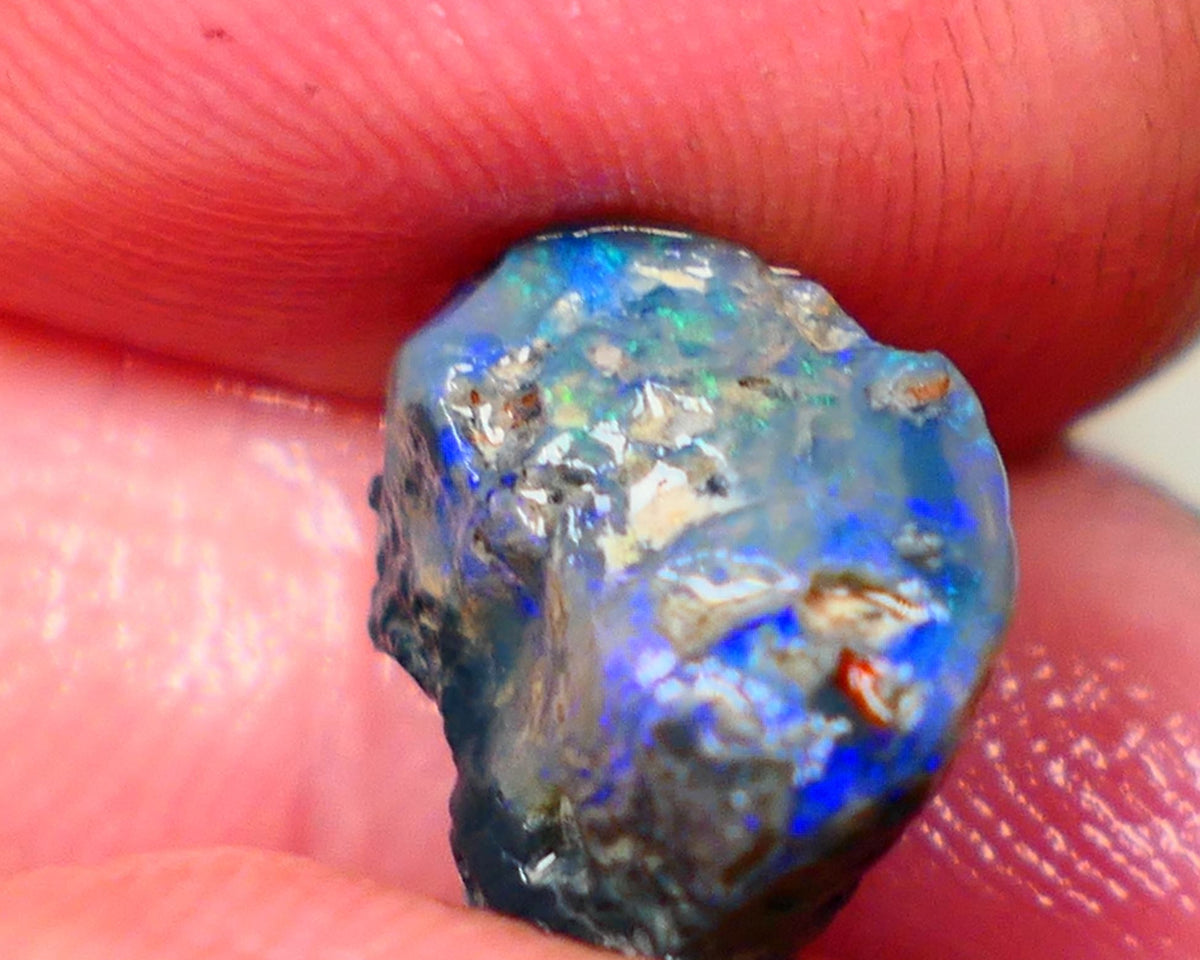 Lightning Ridge Dark Base knobby 4.00cts  Bright Blue colours to explore and gamble 12x8x7mm GMB-034