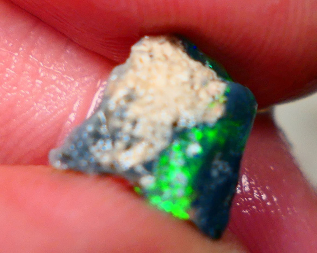 Lightning Ridge Black opal Fossil Rough 2.00cts Stunning Gorgeous Bright Green Dominant Multifires 11x10x4mm GMB-033