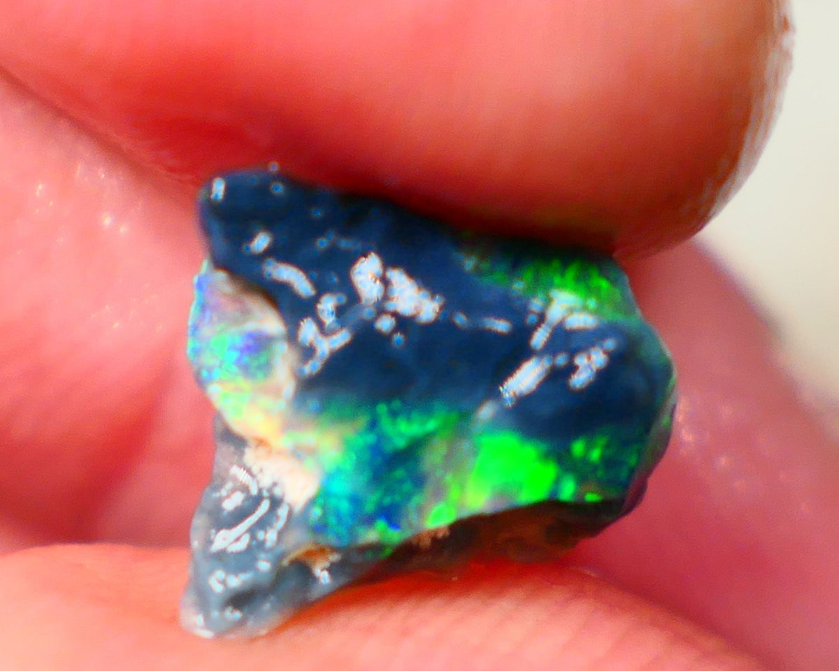 Lightning Ridge Black opal Fossil Rough 2.00cts Stunning Gorgeous Bright Green Dominant Multifires 11x10x4mm GMB-033