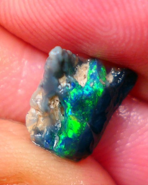 Lightning Ridge Black opal Fossil Rough 2.00cts Stunning Gorgeous Bright Green Dominant Multifires 11x10x4mm GMB-033