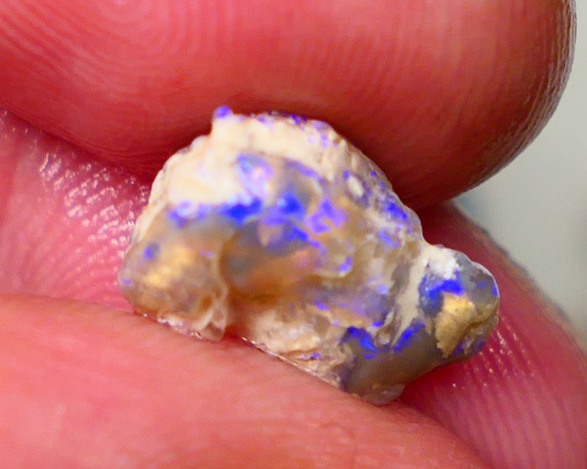 Lightning Ridge Crystal knobby opal formation 3.10cts Gamble Blues fires to carve/collect 13xx6mm GMB-032