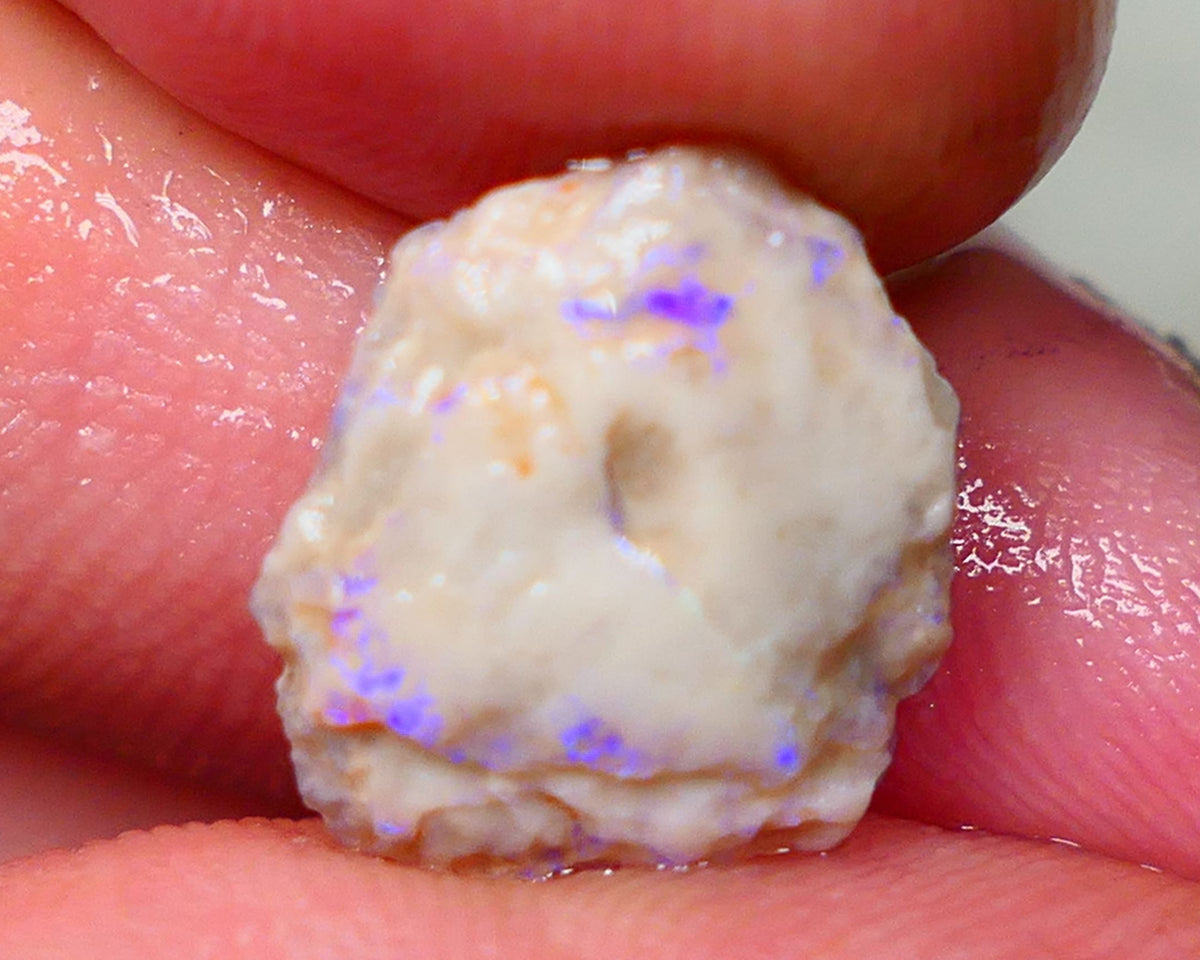 Lightning Ridge Untouched Light base knobby rough opal 3.75cts Blues showing through the skin 14x12x5mm Gamble GMB-031