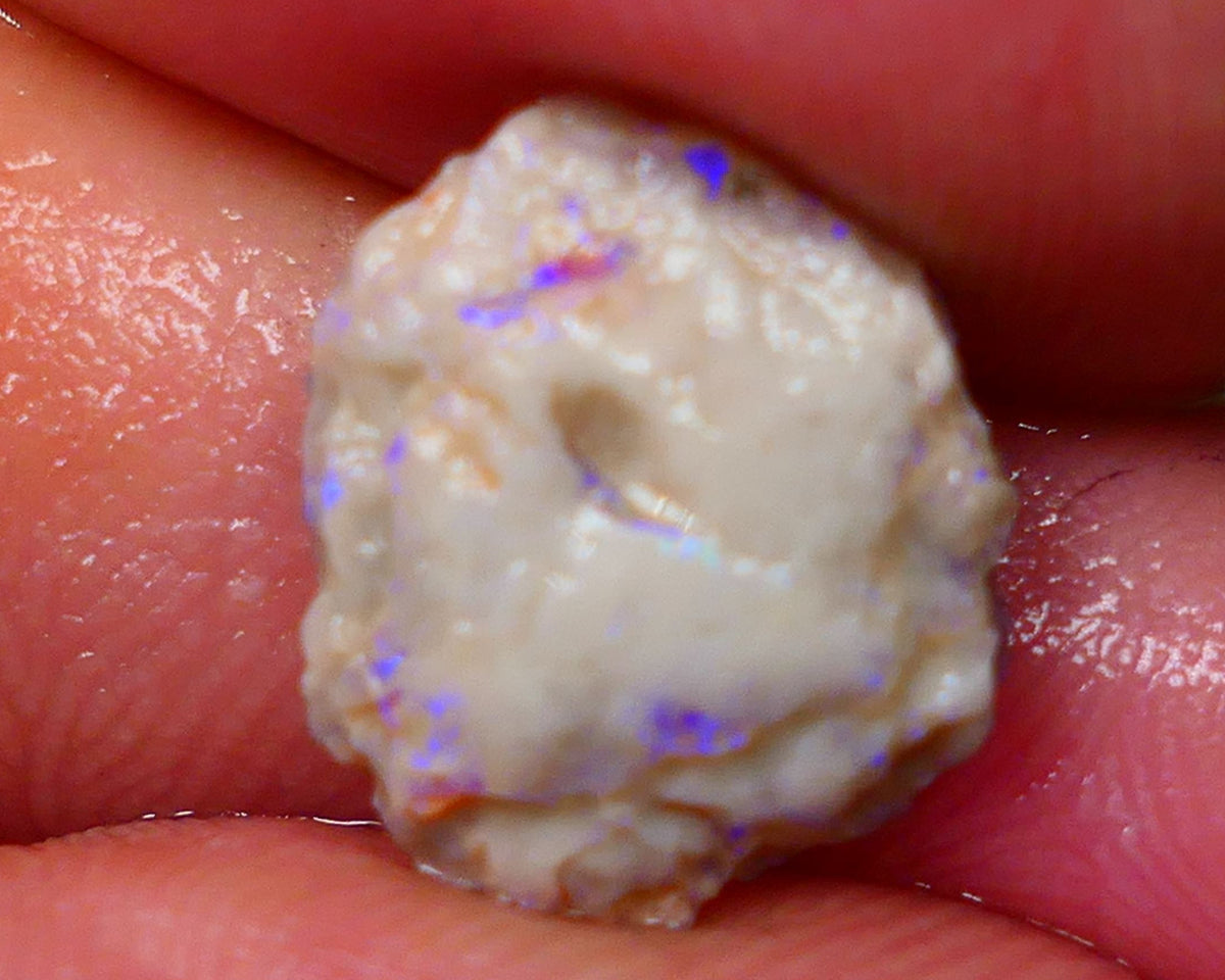 Lightning Ridge Untouched Light base knobby rough opal 3.75cts Blues showing through the skin 14x12x5mm Gamble GMB-031