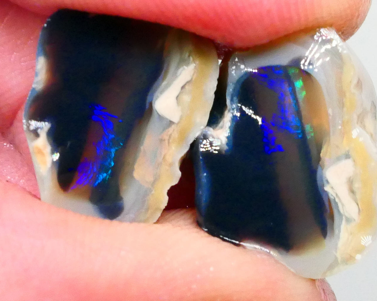 Lightning Ridge Black Crystal Knobby opal Split pair 27.50cts Bright Electric Blue/Green/Teal fires In 2 bars on thick one thin 17x14x12mm & 18x11x8mm NSW109