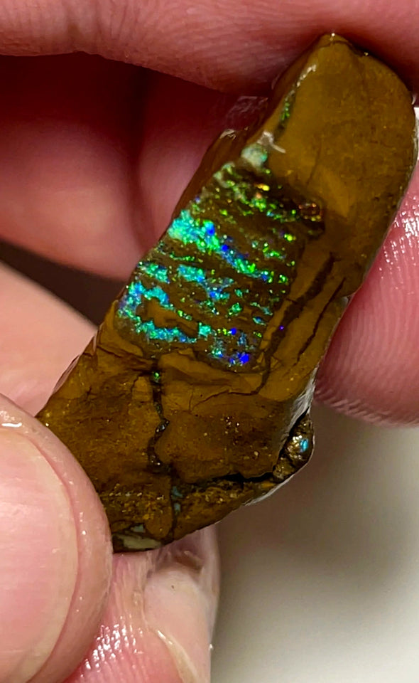 Queensland Boulder Matrix opal 43cts rub / rough Winton Exotic Bright & Gorgeous Multifires 30x17x12mm WAD55