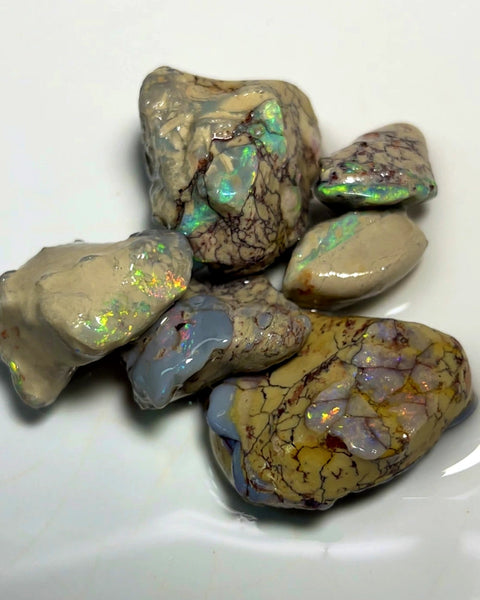 Lightning Ridge Rough Dark & Crystal Opal Parcel 125cts Knobby & Seam Formations with bright Multi colours showing 30x22x8mm to 18x10x5mm WAD37