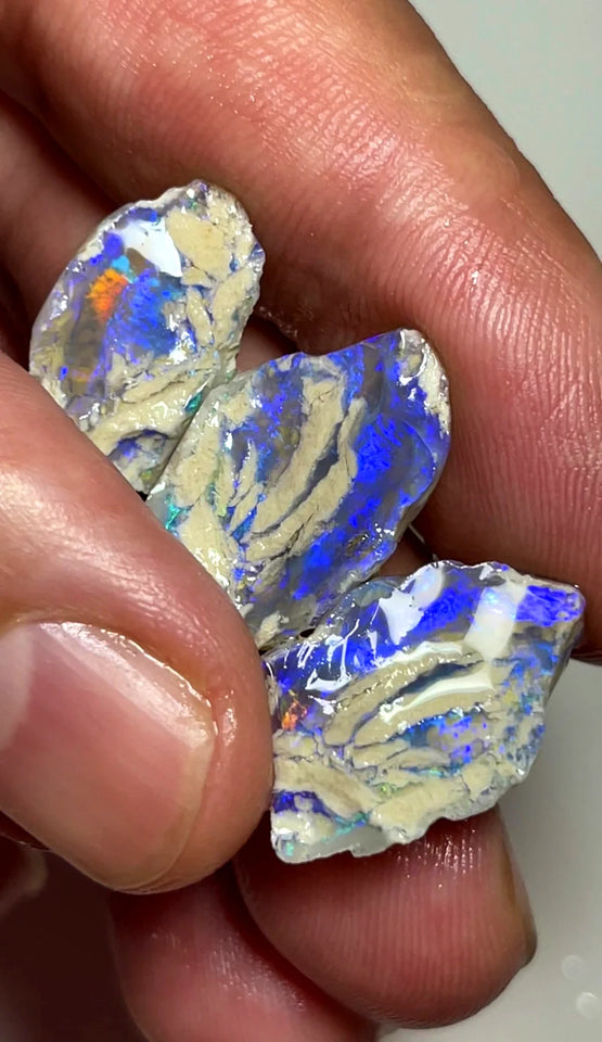 Opal Fever Mate Auction