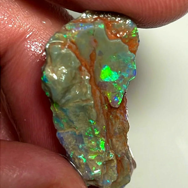 Opal Fever Mate Auction