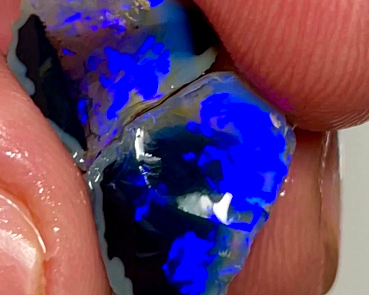 Lightning Ridge Rough Opal 7.75cts Gorgeous  Black Knobby Split Stunning bars with lots of Bright blues 15x9x7 & 12x9x4 mm WAE42