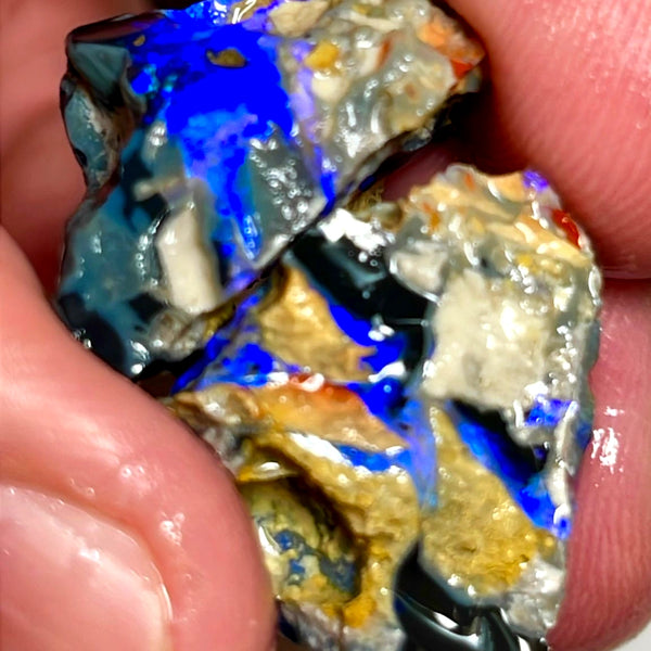 Lightning Ridge Rough Opal 43cts Big size Black Knobby Split showing bars with lots of blues 21x20x15 & 21x19x13 mm WAE41