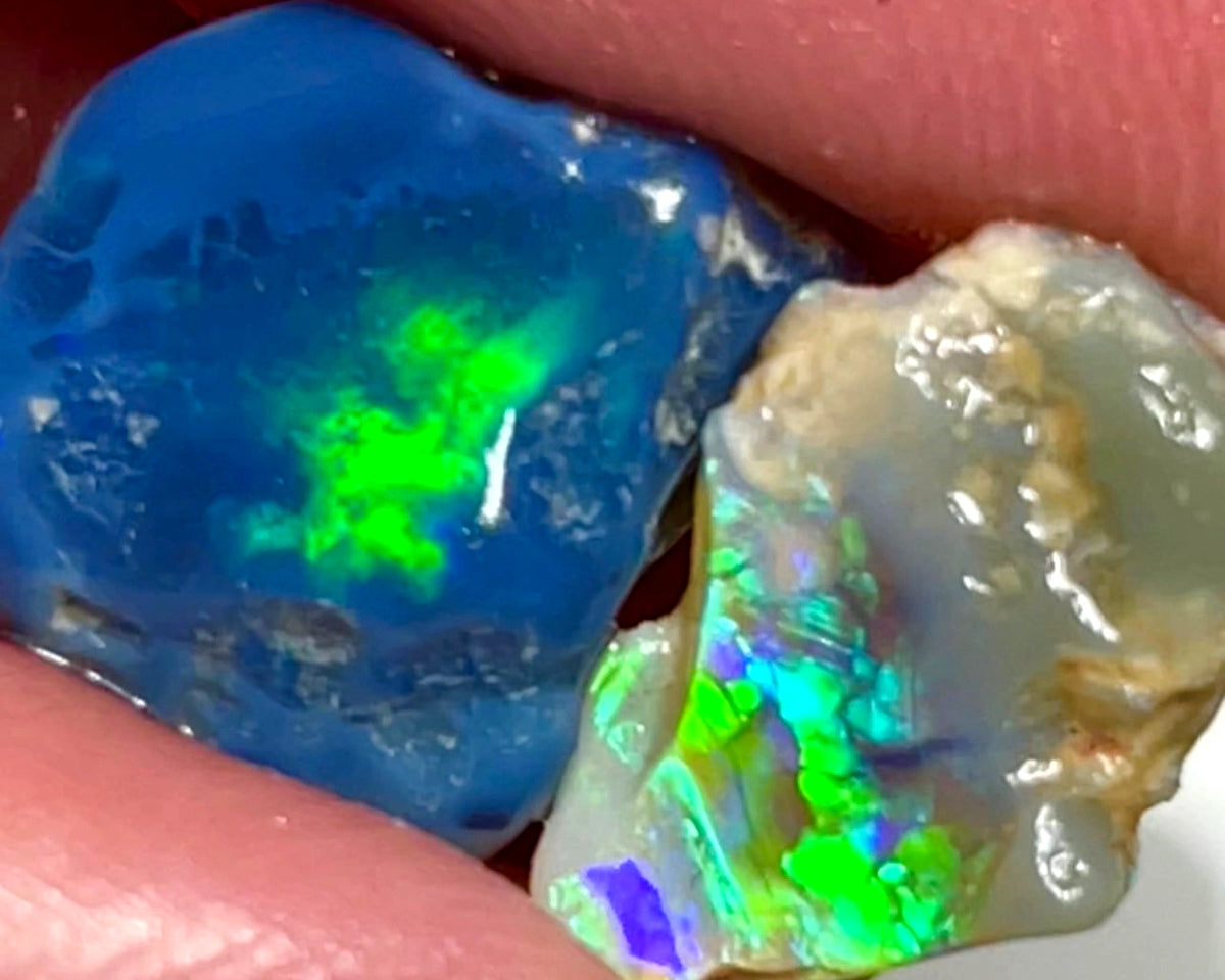 Lightning Ridge 9.5cts Bright & gorgeous Opal rough pair Stunning Green Blue fires 12x11x5 & 14x9x4 mm 1127