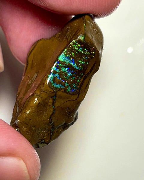 Queensland Boulder Matrix opal 43cts rub / rough Winton Exotic Bright & Gorgeous Multifires 30x17x12mm WAD55