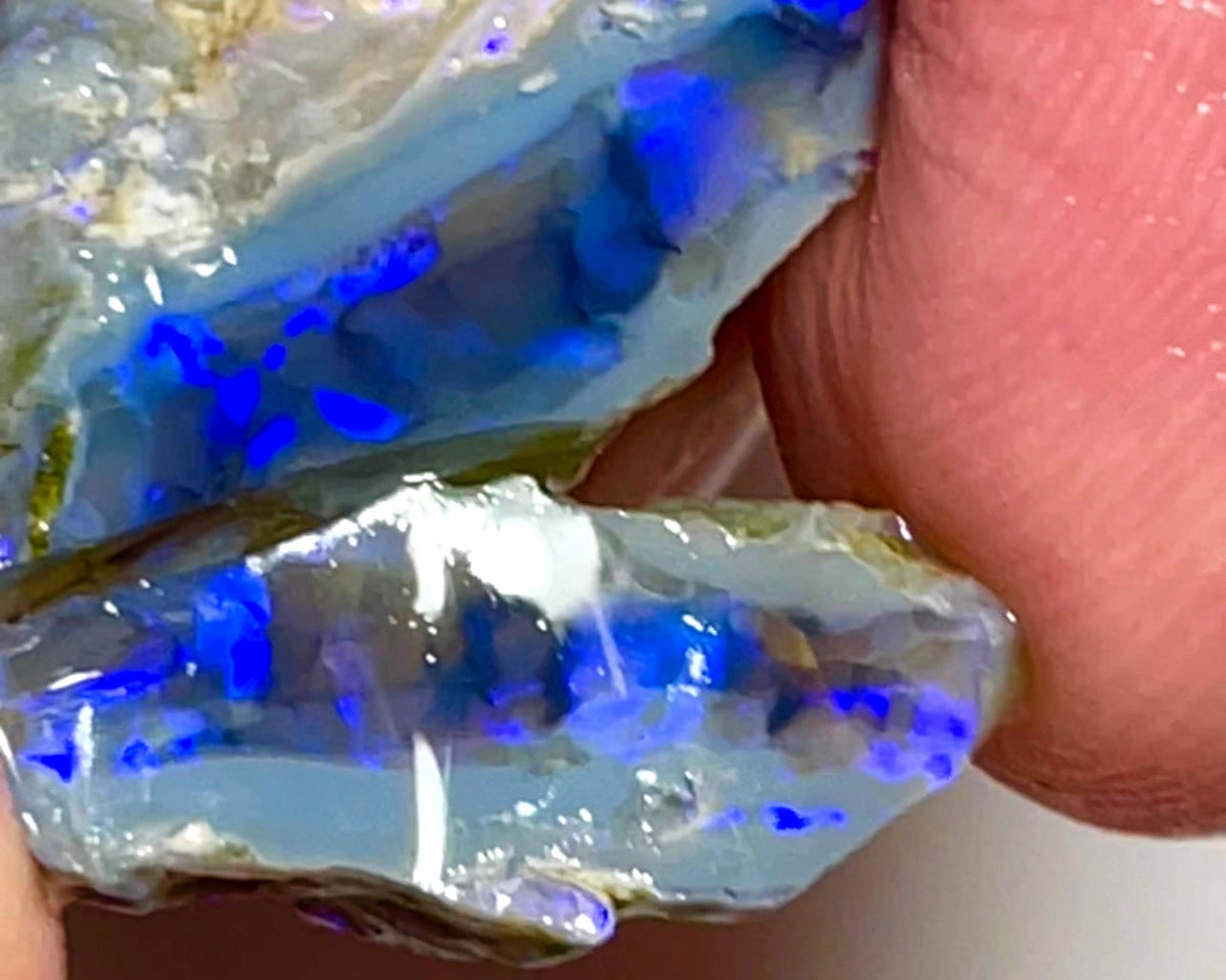 Lightning Ridge Rough Opal 31cts Stunning Dark Crystal Knobby Split with Nice bars with Vibrant Blues  26x20x13 & 20x8x7mm WAE57