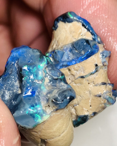 Lightning Ridge Rough Opal 45cts Black Seam Pair Still on host rock Green/blue fires 24x20x12mm & 23x17x10mm WST74