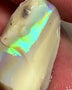 Lightning Ridge Rough Opal 9.5cts Cutters Stunning Light Base High Grade Vivid Bright Multifires  20.000 x 14.000 x 5.000 mm WAE48