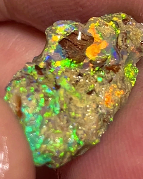 Bling Bling Lightning Ridge Rough Opal 6.25cts Untouched Opalised Wood Fossil Vibrant Rich Bright Multifires 20x10x5mm NEW26