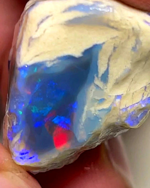 Lightning Ridge Rough Opal Dark Base Crystal Big Knobby 70cts Blues Red Green Multifires in stunning bar  35x25x15mm WAB92